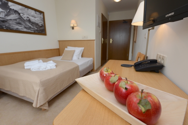 Hotel Alpejski